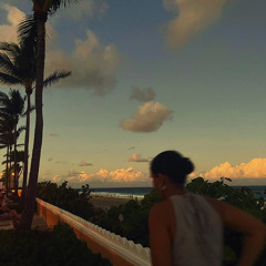 Edith Whiskers - Home