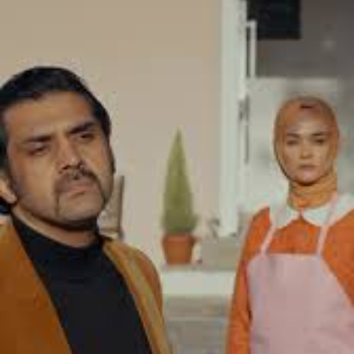 Bayhan - Efendim İşitmedim (Recep Tekneci)Remix