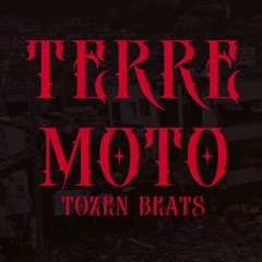 TERREMOTO