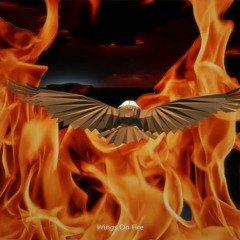 Wings Of Fire