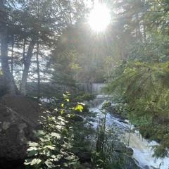 ALL (rayoffkey x vagosrose)