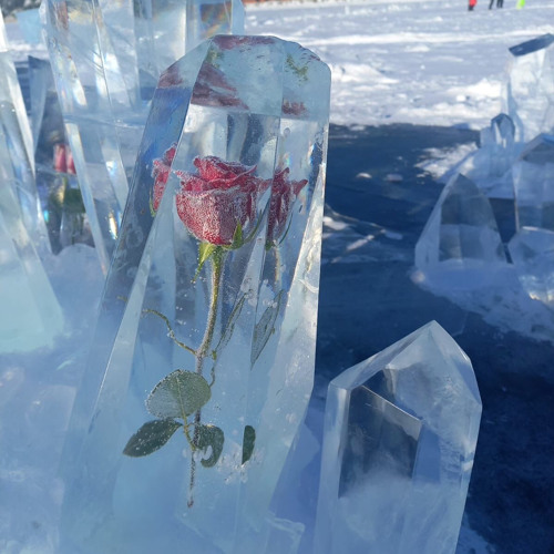 Rexv2 & Goopstro - Ice veins prod rexv2 (2025)