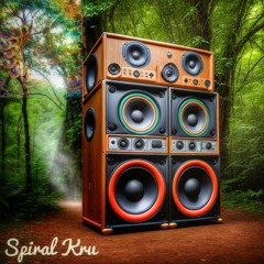 Spiral KrU Soundsystem (D3phect)HipHop/Dancehall/Ragga. For the tribe ✌️❤️