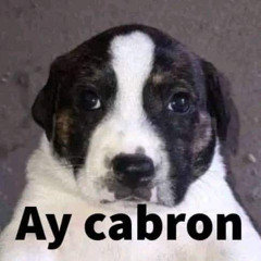 My way but it’s only the good part for 15 mins