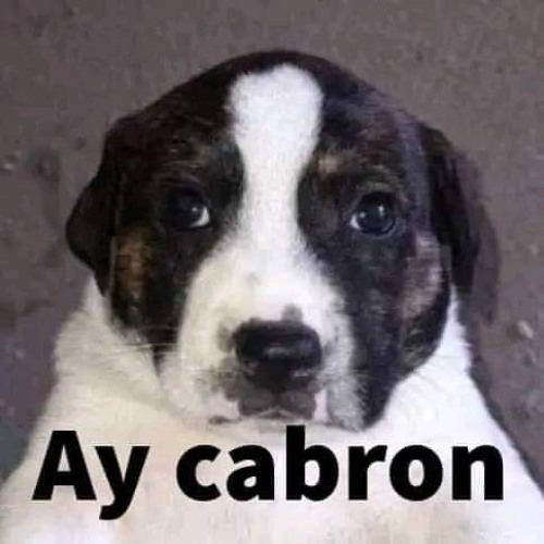 My way but it’s only the good part for 15 mins