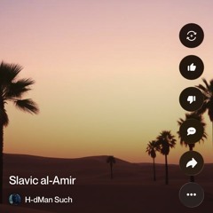 Slavomir - slavic-al-amir.mp3