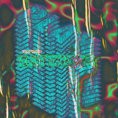 Trapwasp - HaterzZz