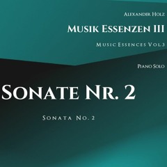 13 - Sonata No. 2