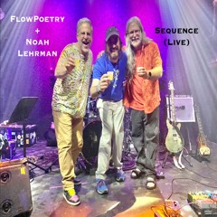 Swoon {Chase and Undulate} (live)