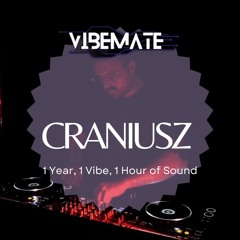 VibeMate One Year Anniversary Special Mix by Craniusz [Resident]
