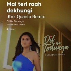DIL NA DODUNGA - KRIZ QUANTA REMIX.mp3