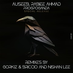 Premiere: Rabiee Ahmad & Auseeb - Propaganda (Nishan Lee Remix)
