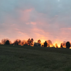 Afterlife (prod. p4ra x sorrow bringer)