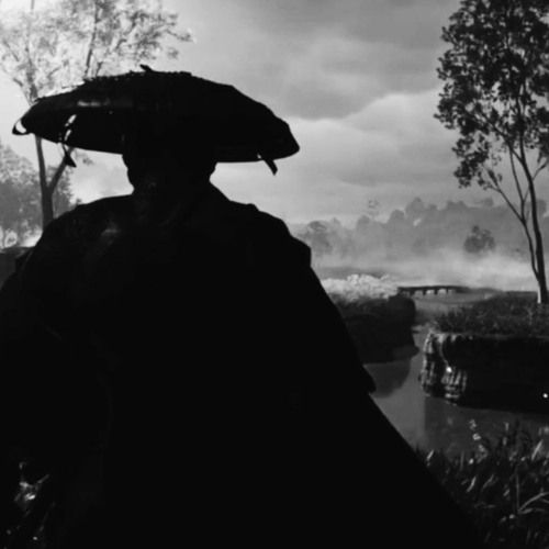 dibiflipsessionsSAC3