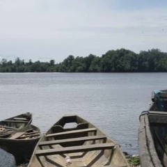 Multiple Efforts To Save Cameroon’s Coastal Mangroves