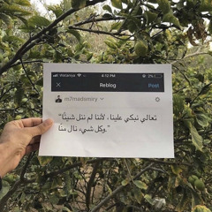 في ديسمبر تنتهي كل الأحلام | مزيج