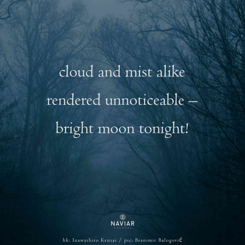 Bright moon tonight (naviarhaiku593)
