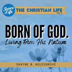 Born of God - The Christian Life Part 8 - Shayne Holesgrove (Rondebosch)