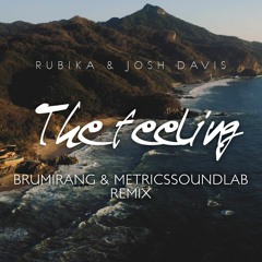 RUBIKA & Josh Davis - The feeling (Brumirang & Metricssoundlab remix)