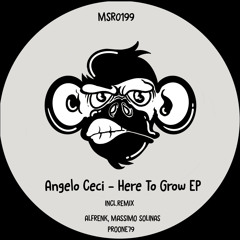 Angelo Ceci - Here To Grow (ProOne79 Remix)