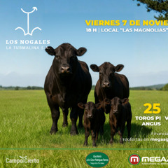 Diego Bieneres - Remate Los Nogales