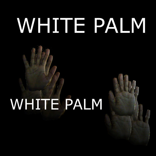White Palm - Palm White