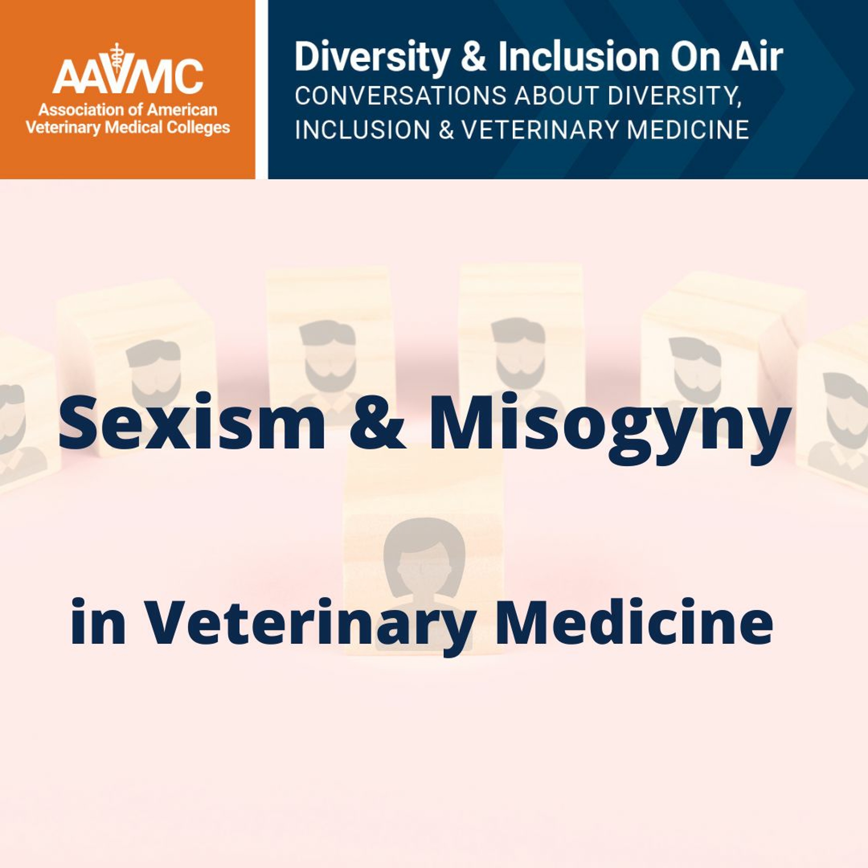 AAVMC\'s On Air: Conversations about Issues in Veterinary Medicine