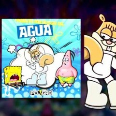 PERREO DEBAJO DEL AGUA - J Balvin - Dj Linda Ft Calle 13 (Mashup Antony Leon )