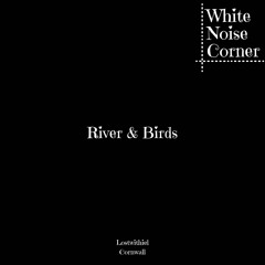 River & Birds Lostwithiel Cornwall One Hour