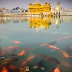 Na Jaanaa Meau Na Jaanaa Jaalee - Bhai Dharam Singh Ji Zakhmi & Bhai Shamsher Singh Ji Zakhmi