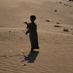 بهديك يالغالي - حمد العامري