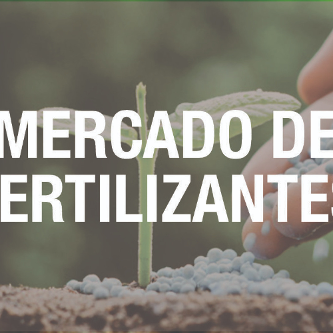 Mercado de fertilizantes tem maior estabilidade após cessar-fogo entre Israel e Irã