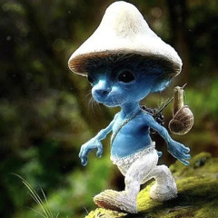 smurfcat (who tf is that at my door)