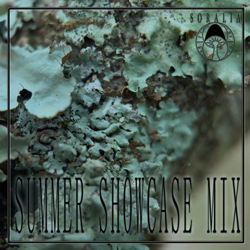Summer Showcase Mix