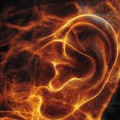 (ACITOXE) (CISSALC) (BALLOC YRADNEGEL) (WEN) NRUB SRAE - NACYL X OVLOTS