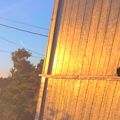 Yellow blazer stop light watch house rising in the east