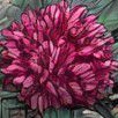 Legotrip - Noh4ine.mp3