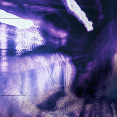 Spins and Shakes Live