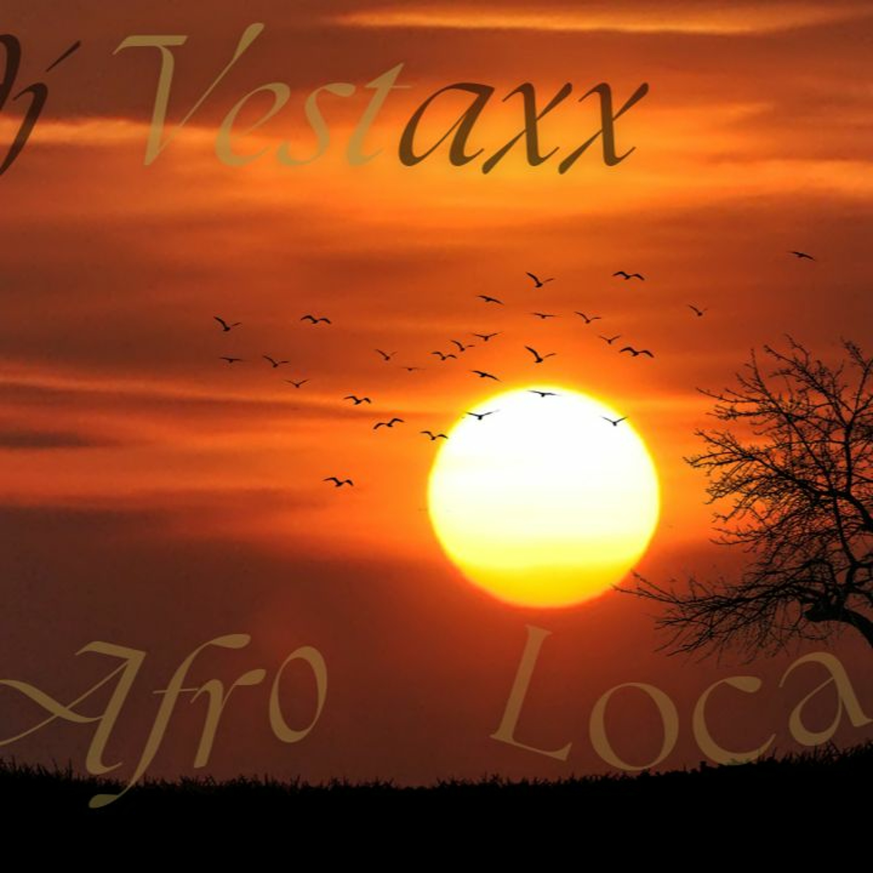 Dj Vestaxx – Afro&Loca