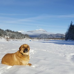 We Are With You (With Words)