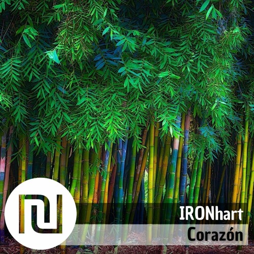 ₪ Corazón ☉ IRONhart