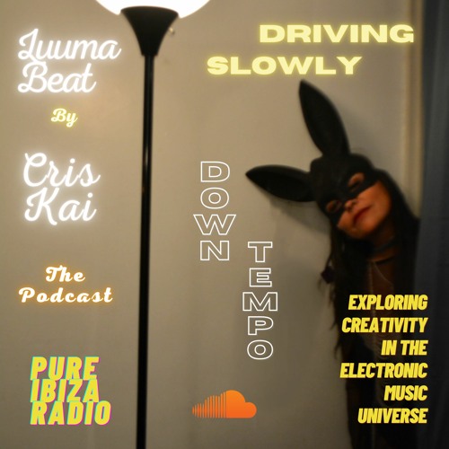 Luuma Beat Podcast Ep 5 *Downtempo 105 *Driving Slowly*