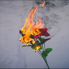 Romantic Garbage_3