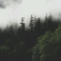 My Old Green Shirt Coffee and Cigarettes