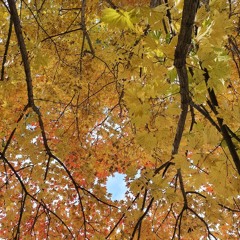 私のすべては主の愛