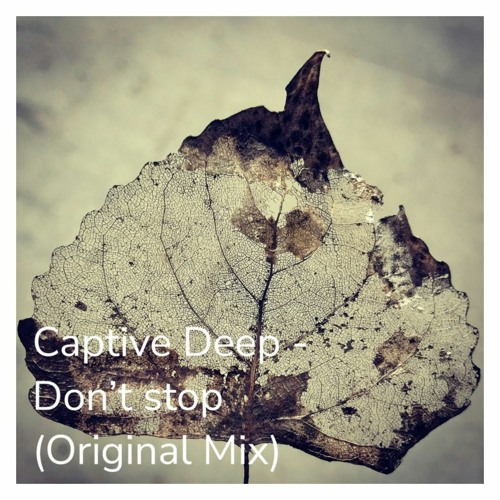 CaptiveDeep - Don't  Stop   (Original Mix).mp3