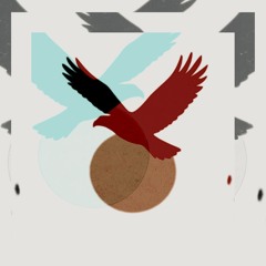 Capsule Sonore 06: Raw Lineage