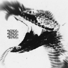 Seven