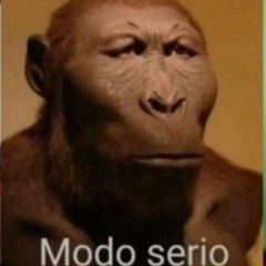 montagem