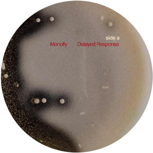 Dockett Eddy - Delayed Response (MUTR002) (clip)